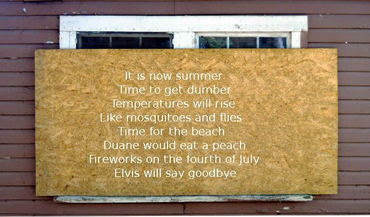 hsummerpoem