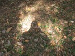 ground
